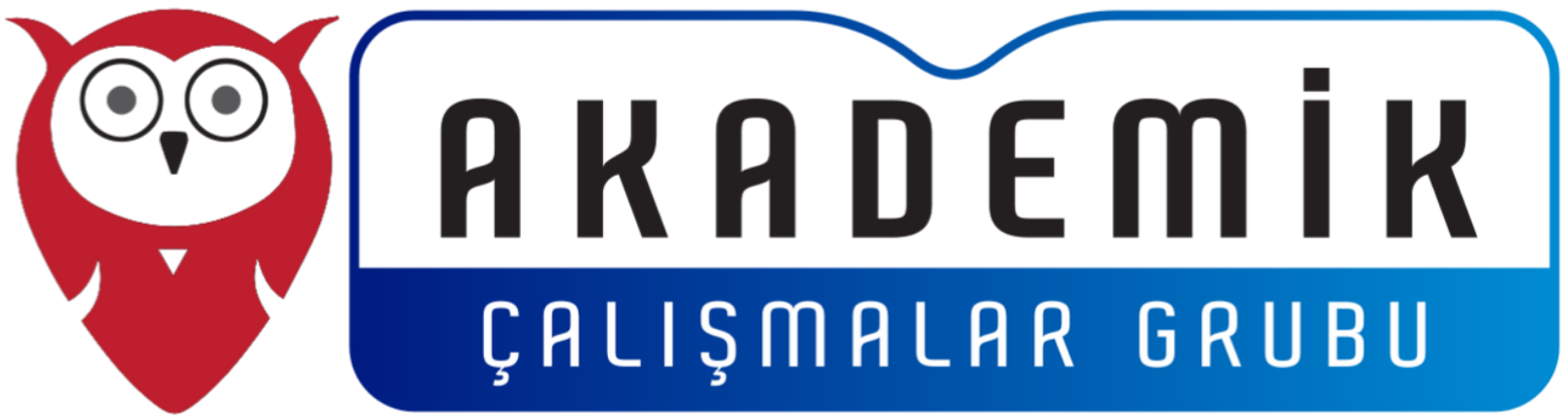 Akademik Çalışmalar Grubu