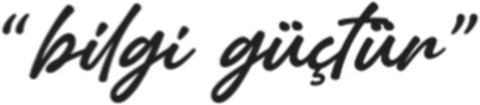 Akademik Çalışmalar Grubu